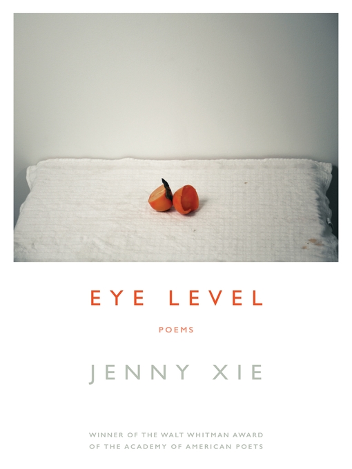 Title details for Eye Level by Jenny Xie - Wait list